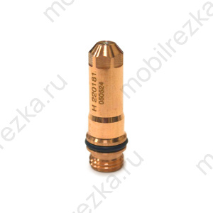 220181 Электрод