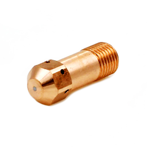 0558001969 Электрод