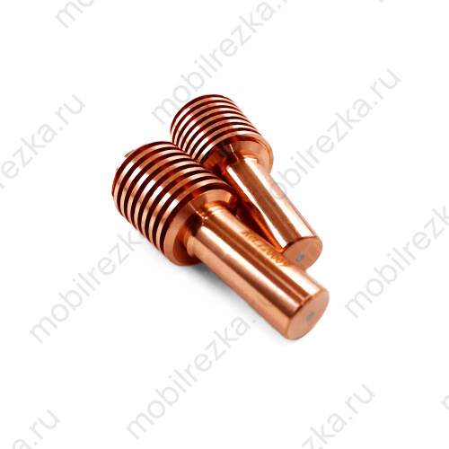 220669 Электрод