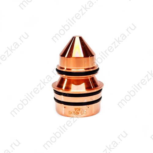 420243 Сопло